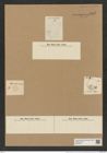 Actinoptychus vulgaris Schum. (de-Toni-Nr.: Genus 227, Species 5565) Zeichnungen Sammlung Grunow Nr. 9601 (NHMW-BOT-W0379419)